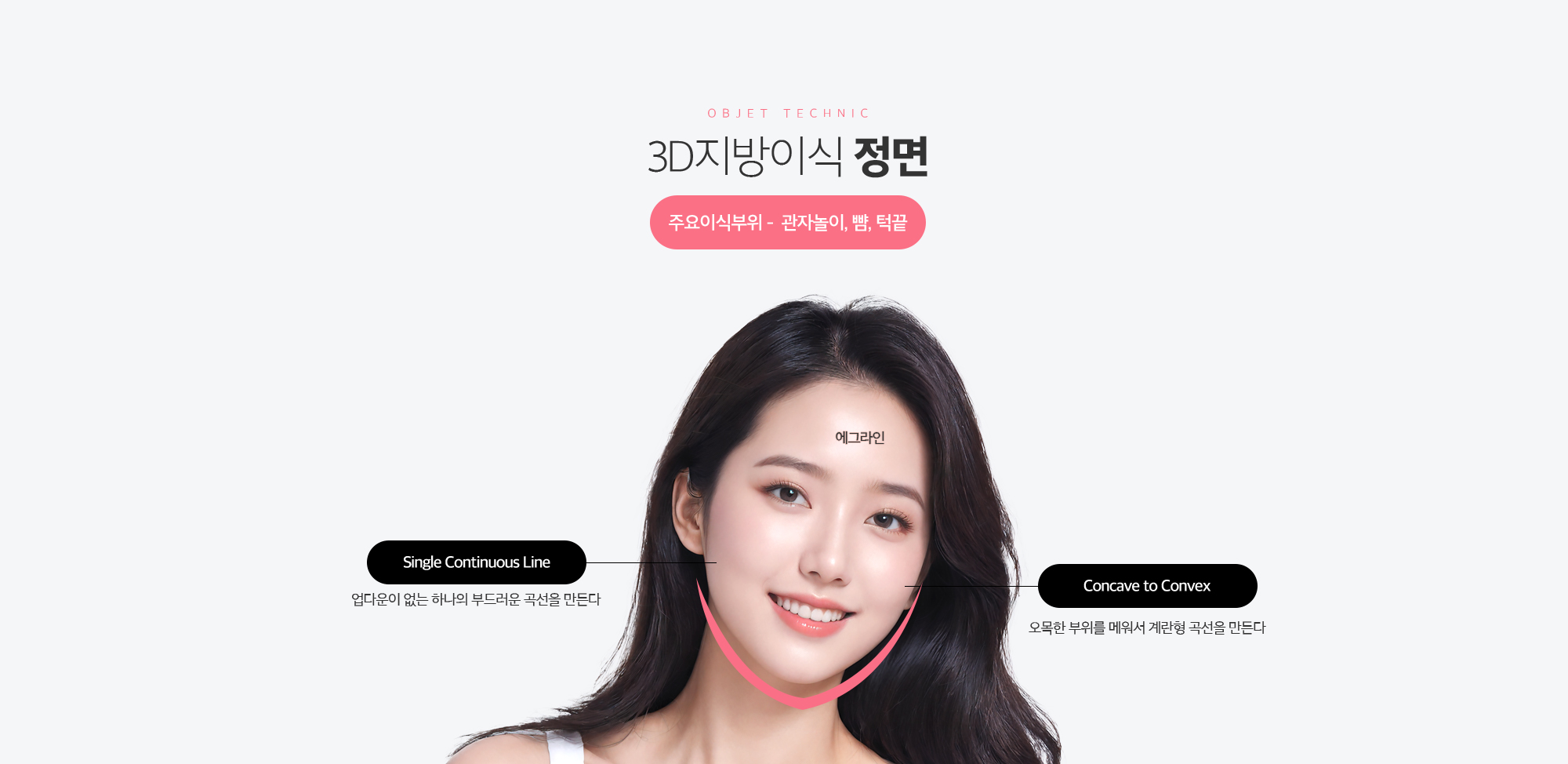 3D지방이식 정면
	Single Continuous Line
	업다운이 없는 하나의 부드러운 곡선을 만든다 
	Concave to Convex
	오목한 부위를 메워서 계란형 곡선을 만든다 
	