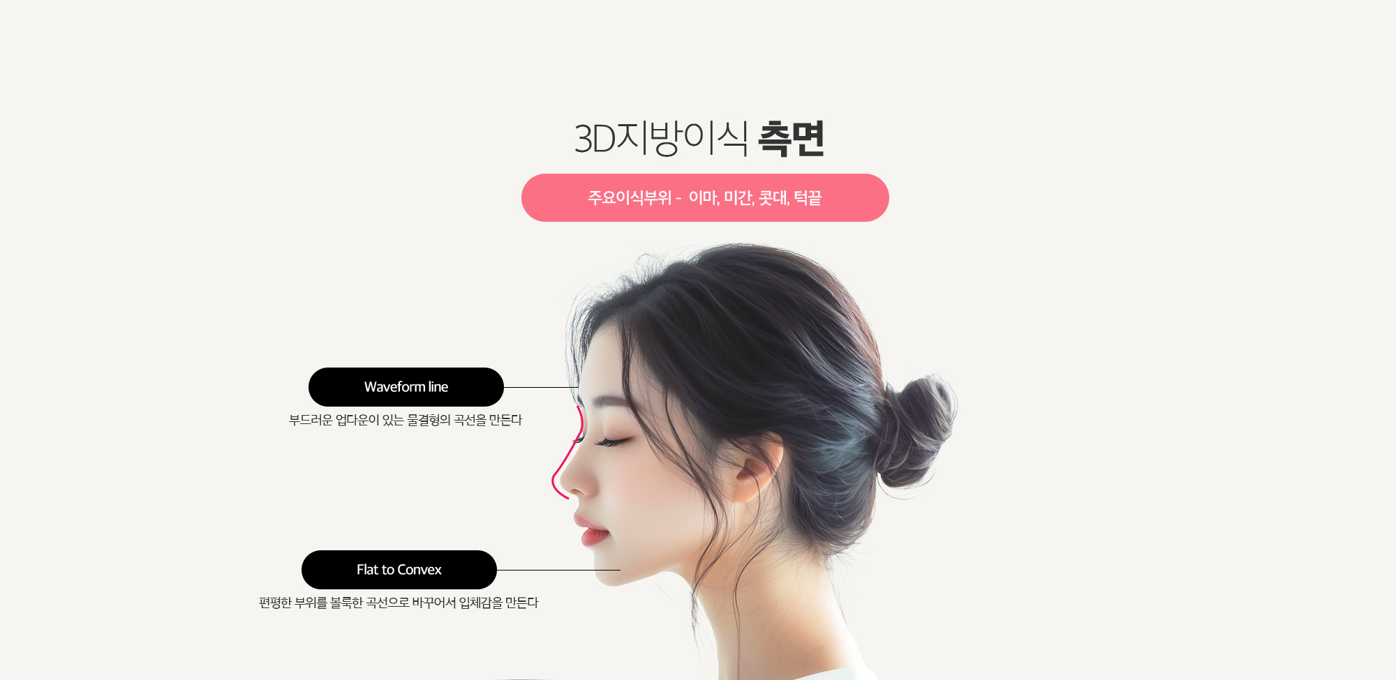 3D지방이식 측면
	Waveform line
	부드러운 업다운이 있는 물결형의 곡선을 만든다
	Flat to Convex
	편평한 부위를 볼룩한 곡선으로 바꾸어서 입체감을 만든다
	