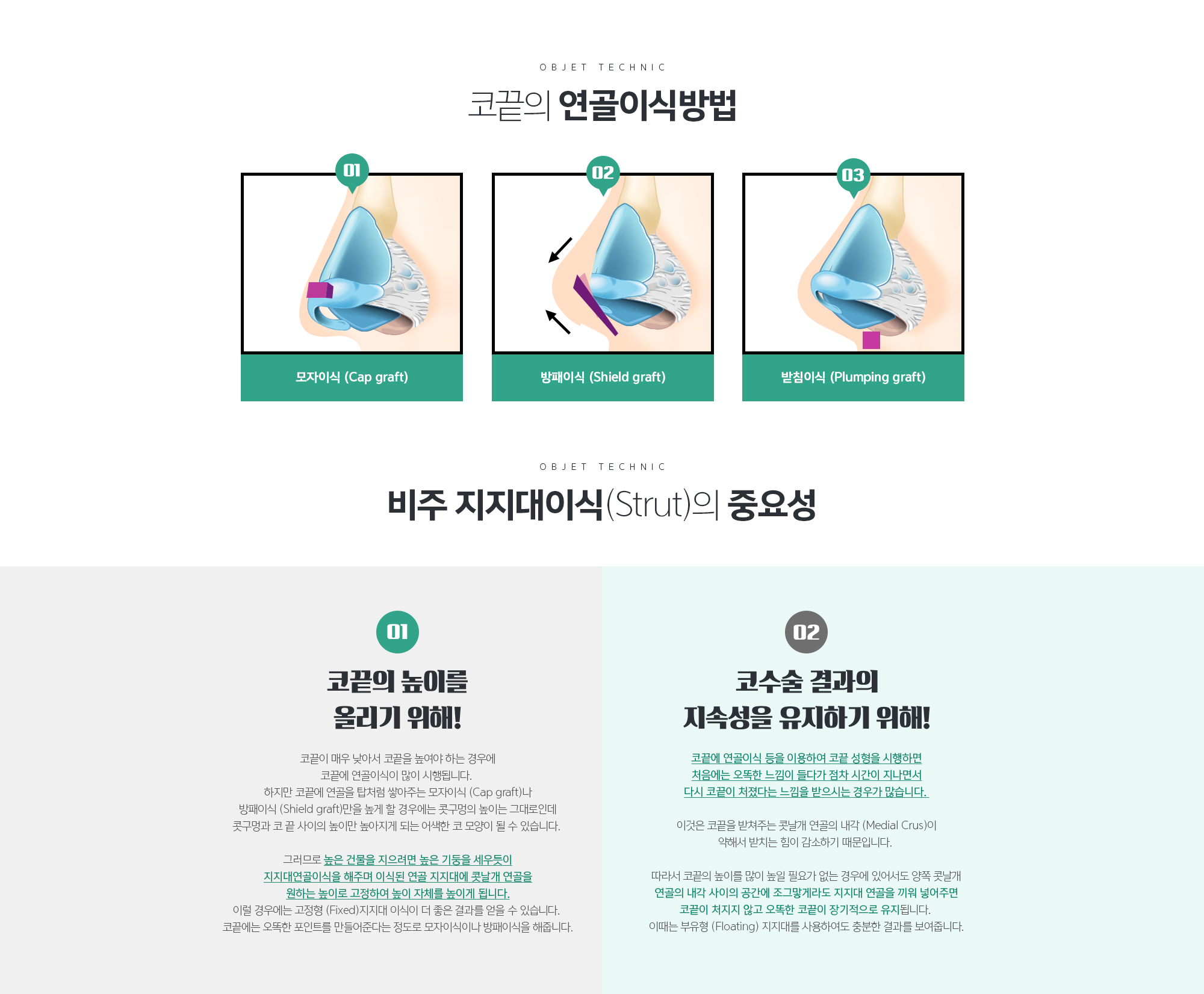 코끝의 연골이식방법 
	01. 모자이식 (Cap graft)
	02. 방패이식 (Shield graft)
	03. 받침이식 (Plumping graft)
	