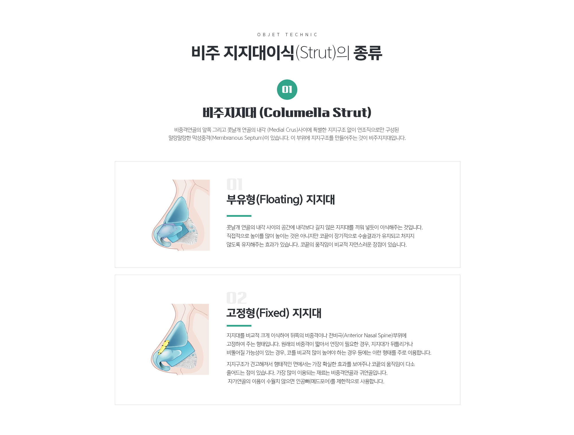 비주 지지대이식(Strut)의 중요성
	코끝의 높이를 올리기 위해!
	코끝이 매우 낮아서 코끝을 높여야 하는 경우에 코끝에 연골이식이 많이 시행됩니다. 하지만 코끝에 연골을 탑처럼 쌓아주는 모자이식 (Cap graft)나 방패이식 (Shield graft)만을 높게 할 경우에는 콧구멍의 높이는 그대로인데 콧구멍과 코 끝 사이의 높이만 높아지게 되는 어색한 코 모양이 될 수 있습니다. 
	그러므로 높은 건물을 지으려면 높은 기둥을 세우듯이 지지대연골이식을 해주며 이식된 연골 지지대에 콧날개 연골을 원하는 높이로 고정하여 높이 자체를 높이게 됩니다. 이럴 경우에는 고정형 (Fixed)지지대 이식이 더 좋은 결과를 얻을 수 있습니다. 코끝에는 오똑한 포인트를 만들어준다는 정도로 모자이식이나 방패이식을 해줍니다.

	부유형(Floating) 지지대
	콧날개 연골의 내각 사이의 공간에 내각보다 길지 않은 지지대를 끼워 넣듯이 이식해주는 것입니다. 직접적으로 높이를 많이 높이는 것은 아니지만 코끝이 장기적으로 수술결과가 유지되고 처지지 않도록 유지해주는 효과가 있습니다. 코끝의 움직임이 비교적 자연스러운 장점이 있습니다.

	고정형(Fixed) 지지대
	지지대를 비교적 크게 이식하여 뒤쪽의 비중격이나 전비극(Anterior Nasal Spine)부위에 고정하여 주는 형태입니다. 원래의 비중격이 짧아서 연장이 필요한 경우, 지지대가 뒤틀리거나 비뚤어질 가능성이 있는 경우, 코를 비교적 많이 높여야 하는 경우 등에는 이런 형태를 주로 이용합니다. 
	지지구조가 견고해져서 형태적인 면에서는 가장 확실한 효과를 보여주나 코끝의 움직임이 다소 줄어드는 단점이 있습니다. 가장 많이 이용되는 재료는 비중격연골과 귀연골입니다. 자가연골의 이용이 수월치 않으면 인공뼈(메드포어)를 제한적으로 사용합니다.
	