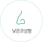 낮은코성형