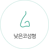 낮은코성형