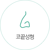 코끝성형