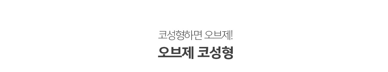 코성형의 장인 이경묵 원장 조앤신 코성형센터