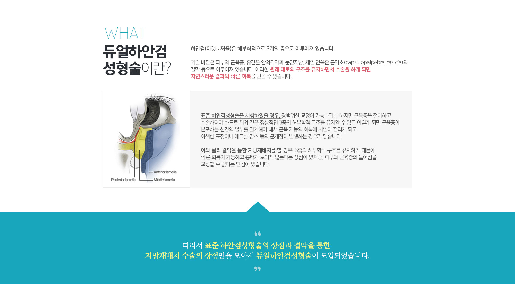 듀얼하안검성형술 이란?
	하안검(아랫눈꺼풀)은 해부학적으로 3개의 층으로 이루어져 있습니다. 

	제일 바깥은 피부와 근육층, 중간은 안와격막과 눈밑지방, 제일 안쪽은 근막초(capsulopalpebral fas cia)와 결막 등으로 이루어져 있습니다. 이러한 원래 대로의 구조를 유지하면서 수술을 하게 되면 자연스러운 결과와 빠른 회복을 얻을 수 있습니다. 

	표준 하안검성형술을 시행하였을 경우, 광범위한 교정이 가능하기는 하지만 근육층을 절제하고 수술하여야 하므로 위와 같은 정상적인 3층의 해부학적 구조를 유지할 수 없고 이렇게 되면 근육층에 분포하는 신경의 일부를 절제해야 해서 근육 기능의 회복에 시일이 걸리게 되고 어색한 표정이나 애교살 감소 등의 문제점이 발생하는 경우가 많습니다. 

	이와 달리 결막을 통한 지방자배치를 할 경우, 3층의 해부학적 구조를 유지하기 때문에 빠른 회복이 가능하고 흉터가 보이지 않는다는 장점이 있지만, 피부와 근육층의 늘어짐을 교정할 수 없다는 단점이 있습니다. 
	따라서 표준 하안검성형술의 장점과 결막을 통한 
	지방재배치 수술의 장점만을 모아서 듀얼하안검성형술이 도입되었습니다.
	